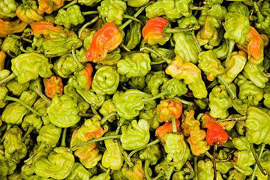 点触解谜游戏《深林》Steam页面 支持简体中文